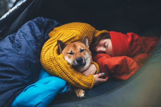femme et chien colle couche dans tente