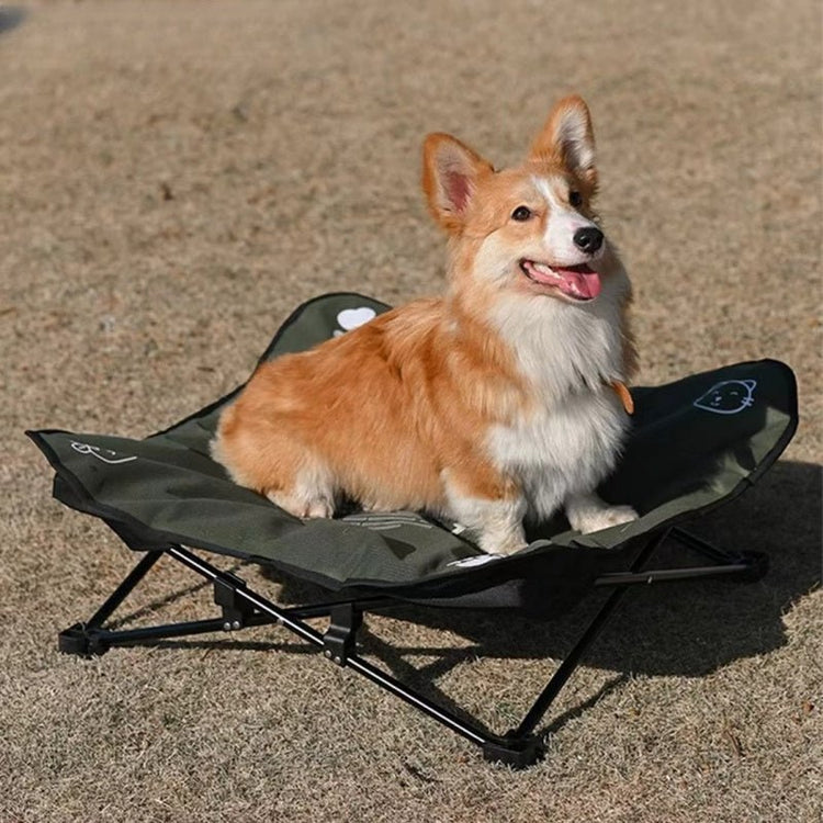 chien heureux sur lit de camp chien
